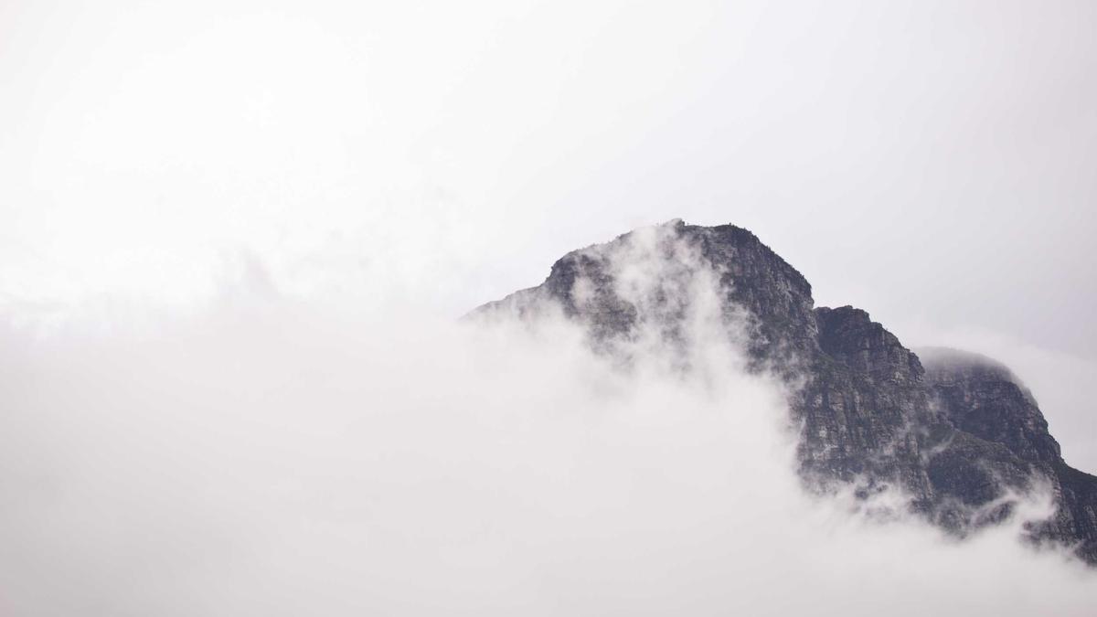 Meike Winnemuth Lesen Detailansicht: Meike Winnemuth Lesen