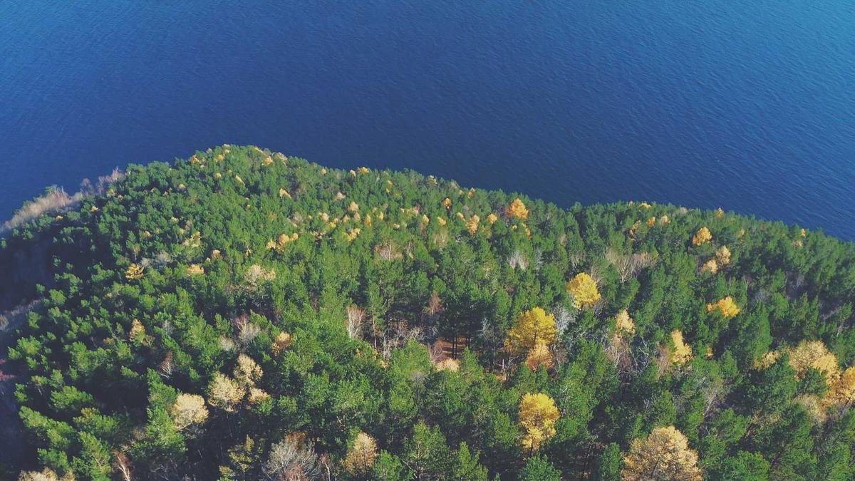 Detailansicht: Messer Auto Strafe