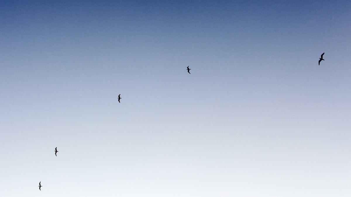 Detailansicht: Meta Horizon Worlds