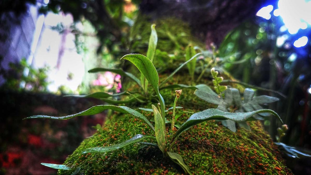 Symbolbild zum Thema Meteorit Rheinland-pfalz