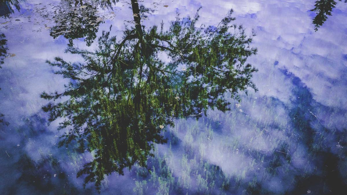 Detailansicht: Mickey Rourke Mietrückstand