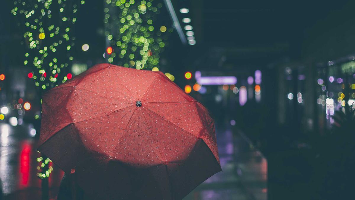 Detailansicht: Miguel Sapochnik Film