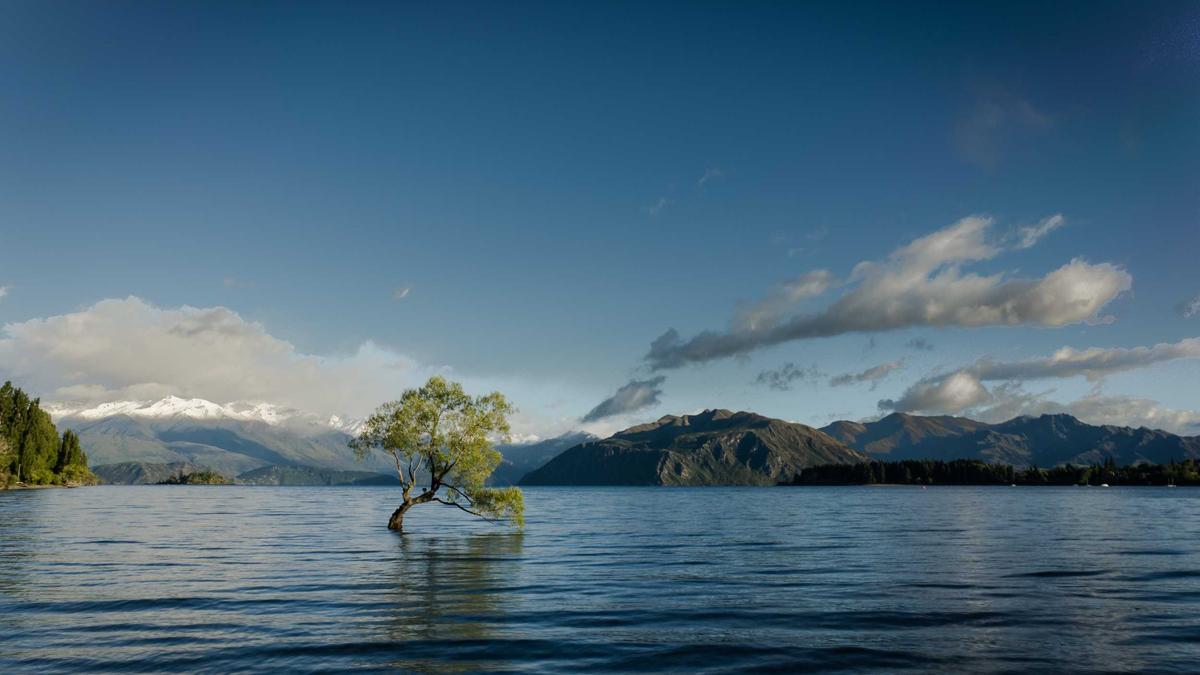 Illustration zu Moritz Nicolas