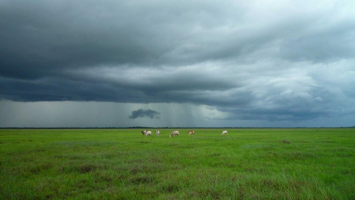 Symbolbild zum Thema Neuer Schufa Score