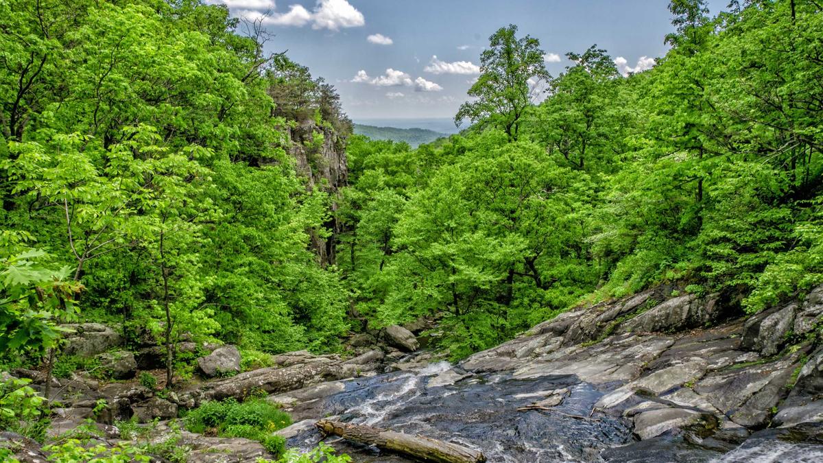 Illustration zu Newcastle – Man City