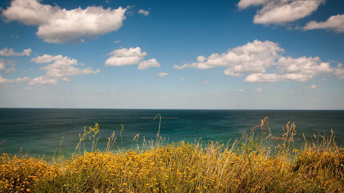 Detailansicht: ölmangel Kuba