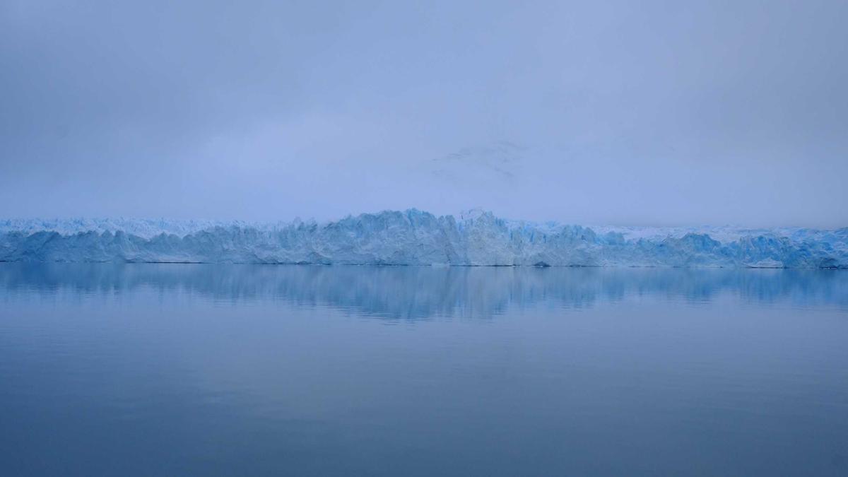 Detailansicht: Oliver Kahn Kritik