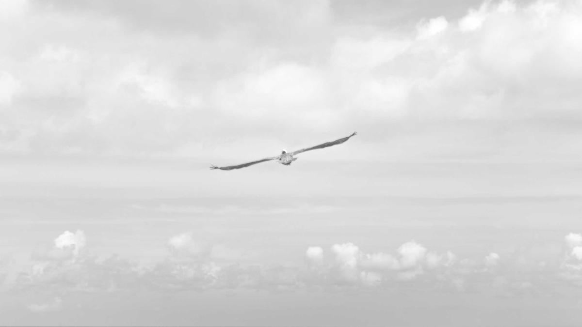 Symbolbild zum Thema Online Sicherheit Familie