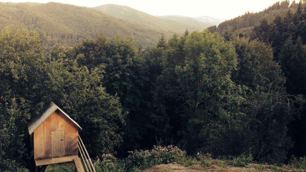 Symbolbild zum Thema Para Eishockey Niederlage