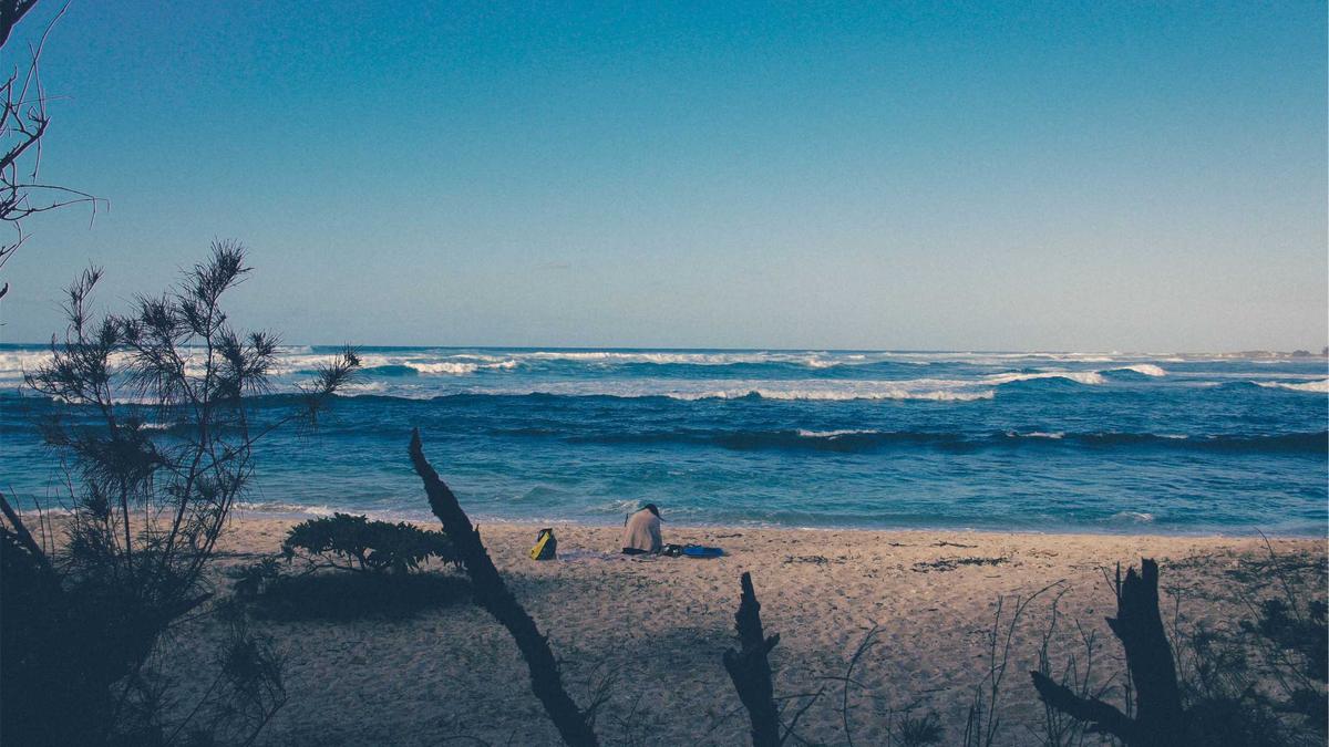 Penny Del Detailansicht: Penny Del