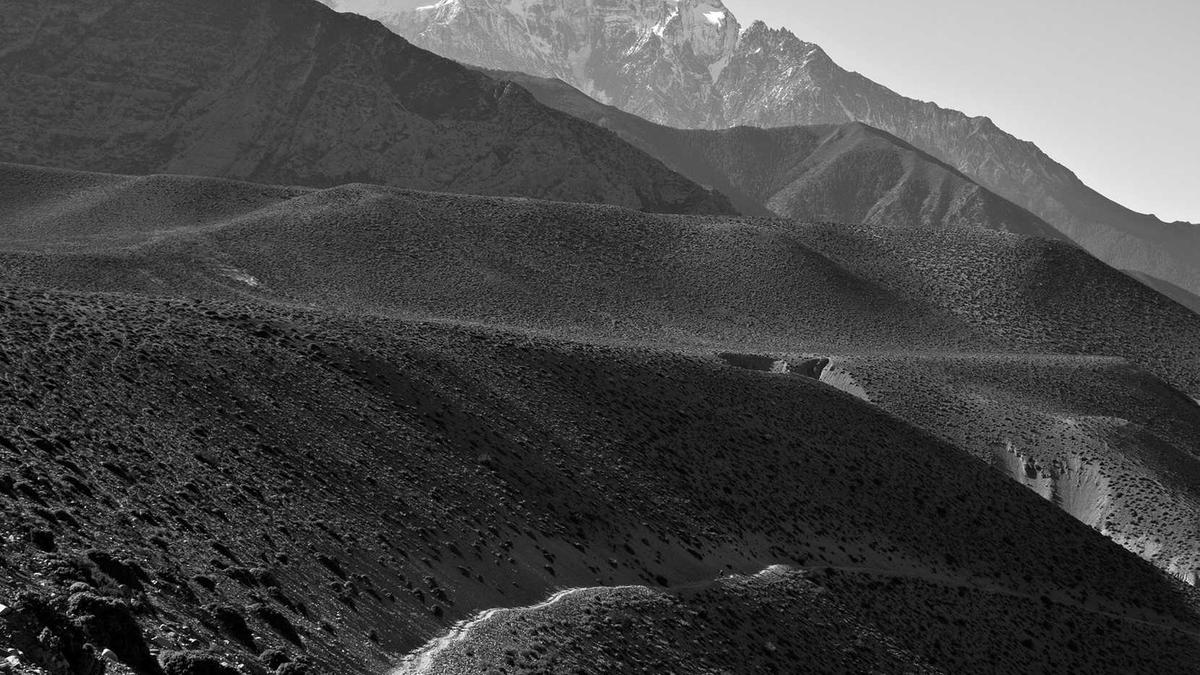 Pierre Littbarski Illustration zu Pierre Littbarski