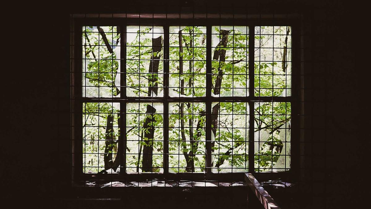 Illustration zu Pilnacek Buch