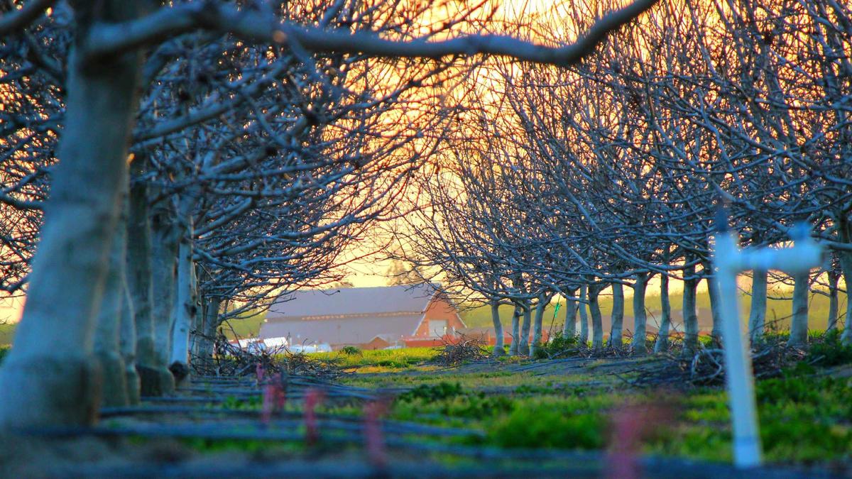 Symbolbild zum Thema Pokémon Legenden Galar