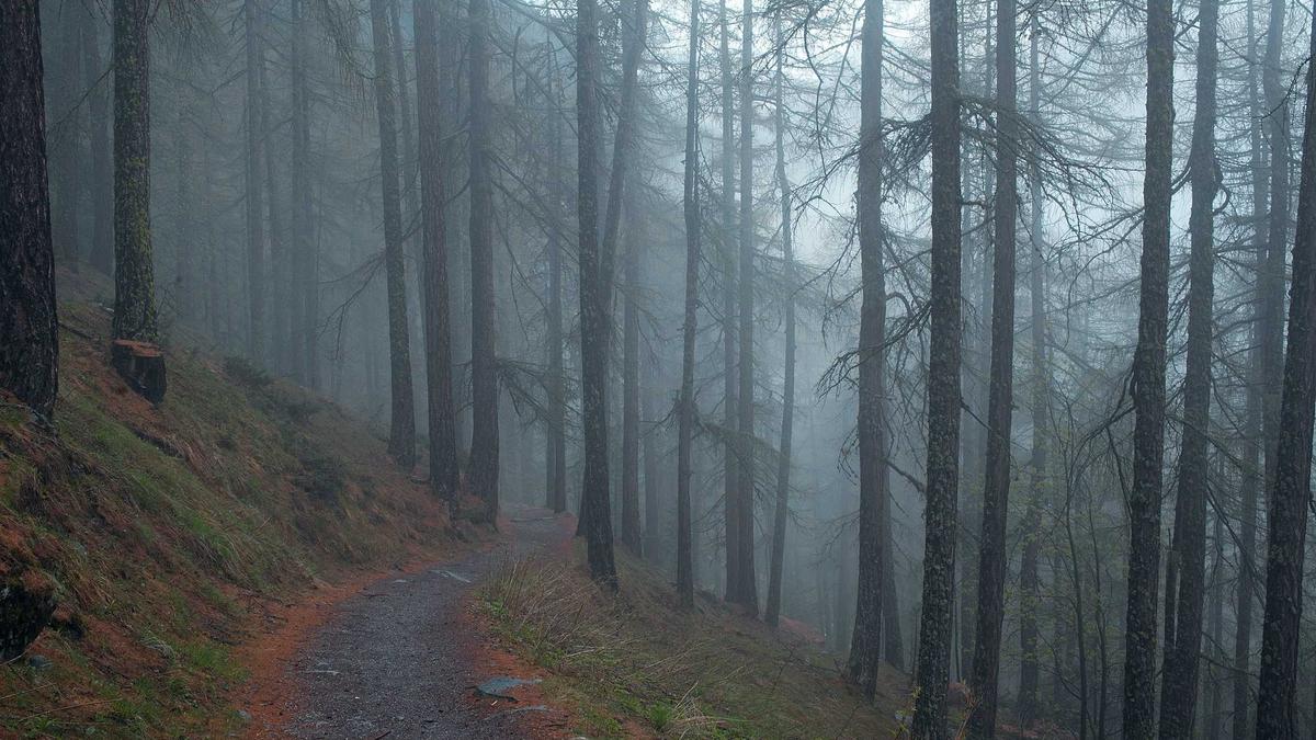 Detailansicht: Promi Nachwuchs Aktuell