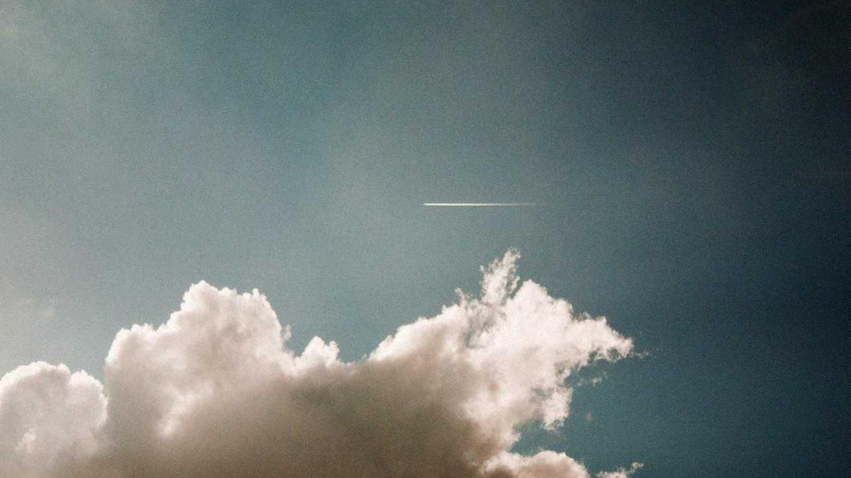 Detailansicht: Promis Unter Palmen Streit