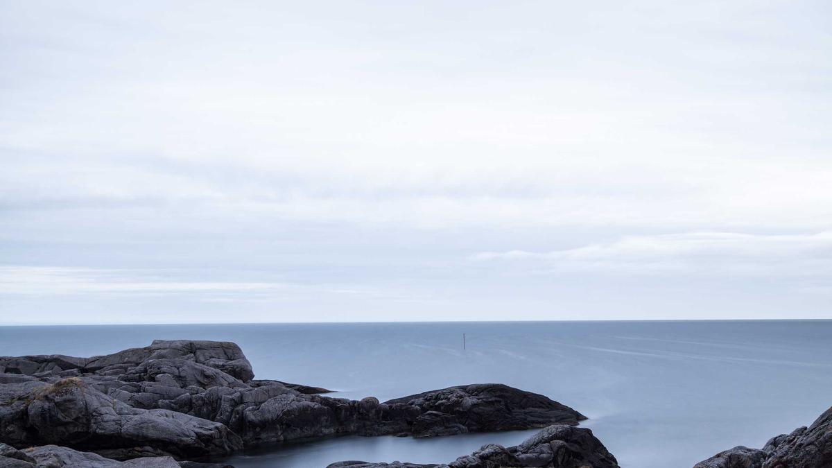 Illustration zu Reitunfall Schwangere