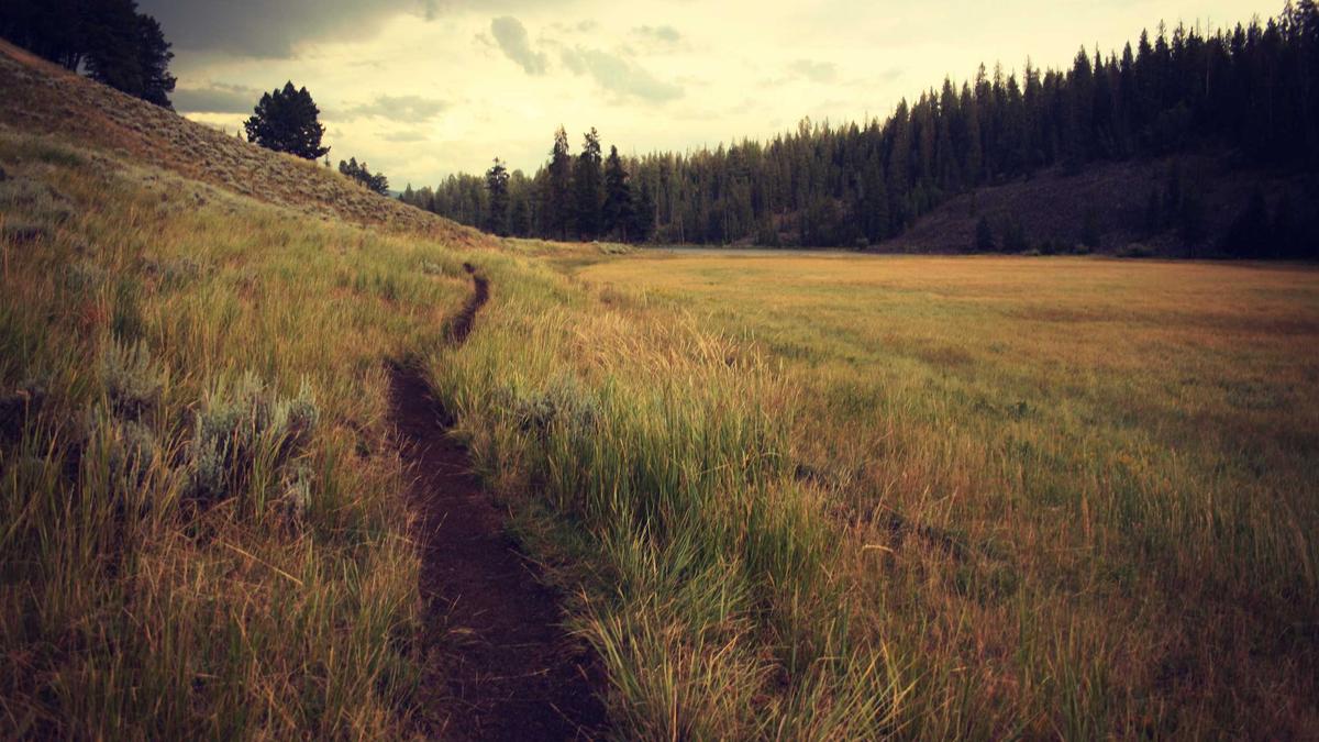 Symbolbild zum Thema Rente über 3000 Euro