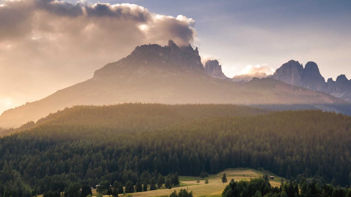 Detailansicht: Rheinland-pfalz