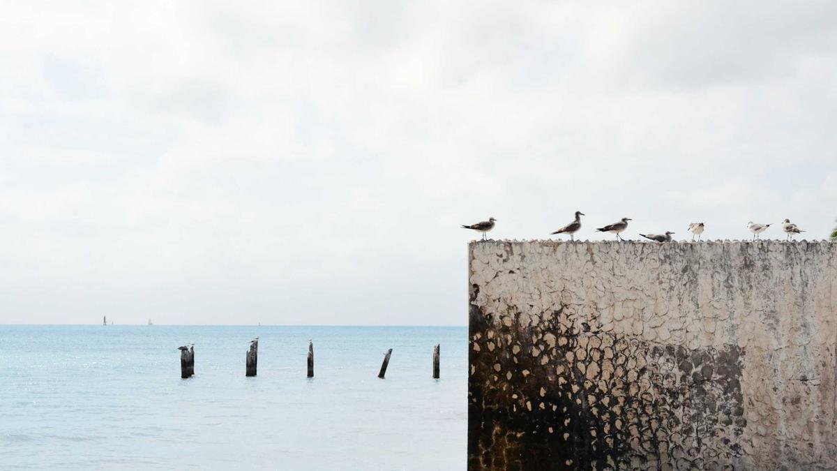 Detailansicht: Rita Ora Eizellen