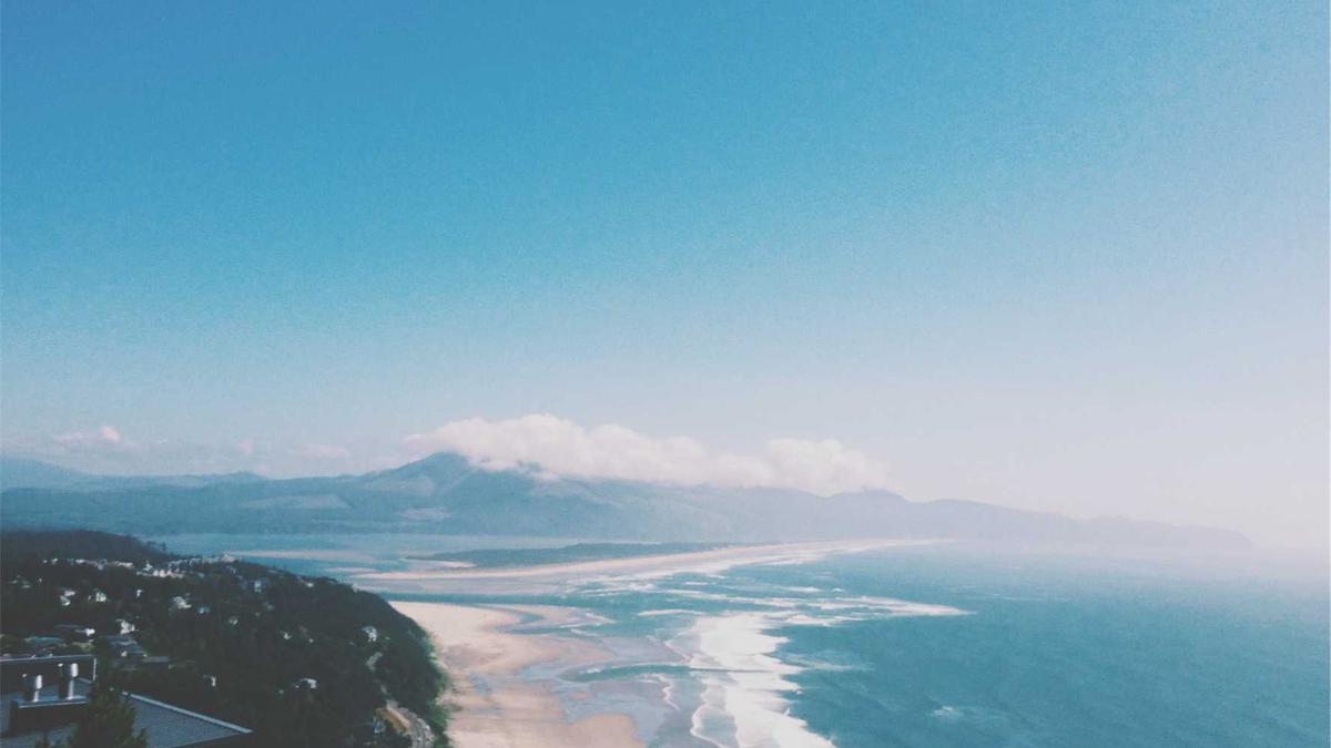 Sarah Thonig Detailansicht: Sarah Thonig