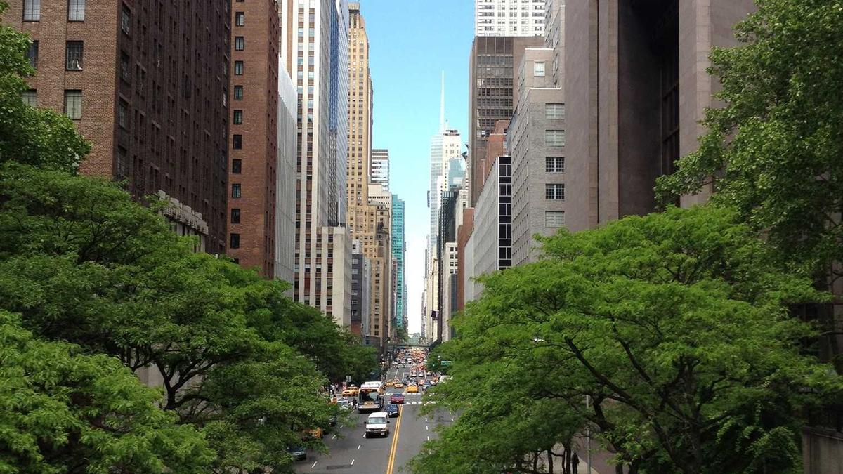 Illustration zu Schufa Transparenz