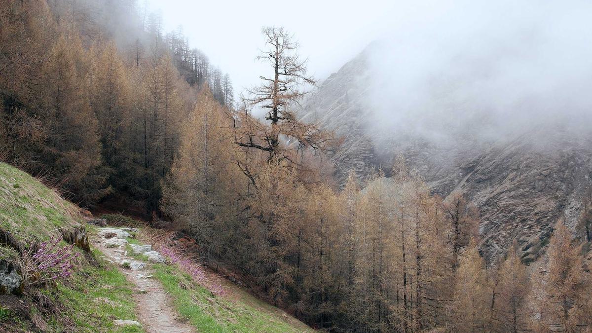 Illustration zu Schulleiter Bergius Schule