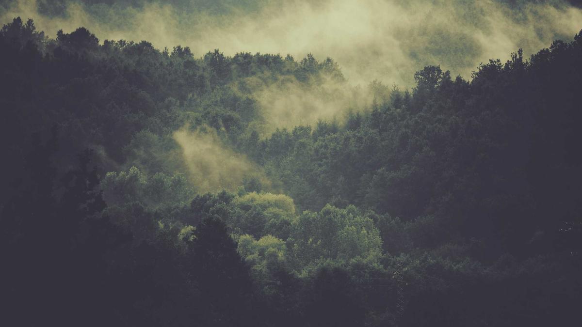 Illustration zu Schweizer Vermisst Seychellen