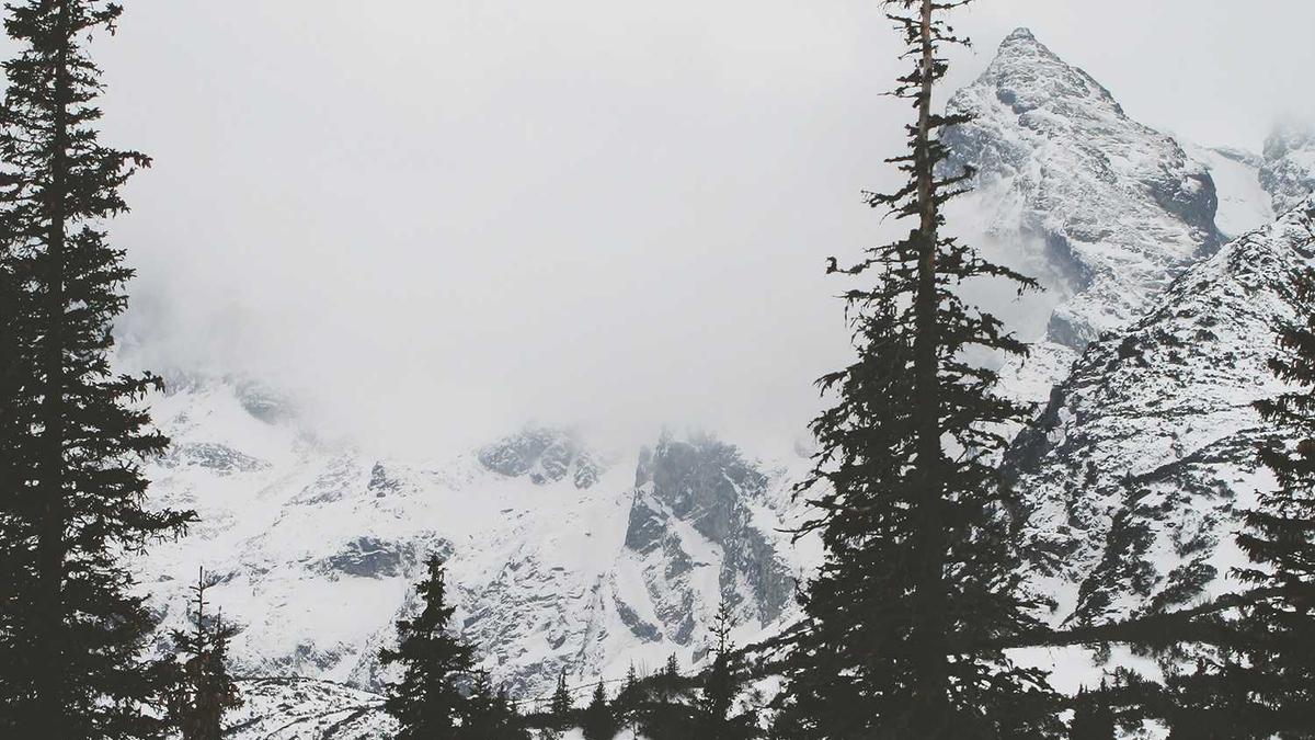 Sebastian Fitzek Detailansicht: Sebastian Fitzek