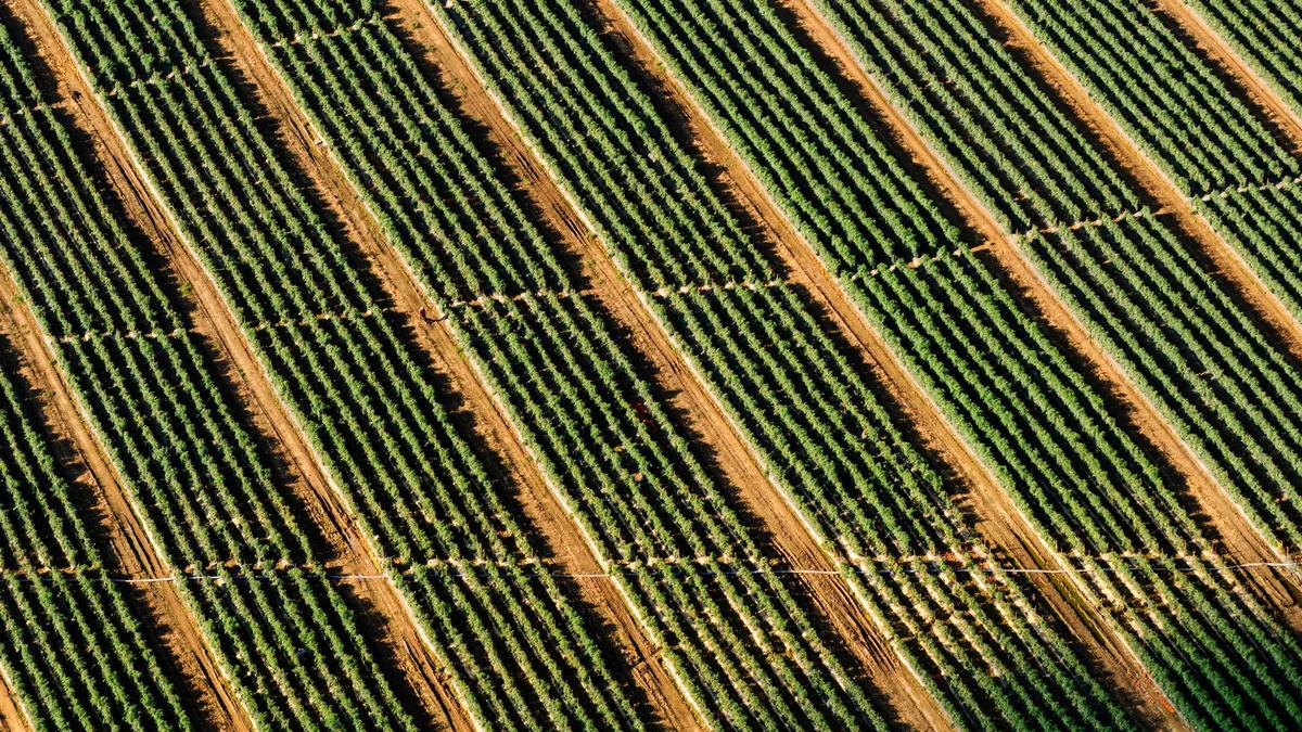 Detailansicht: Servus TV Live