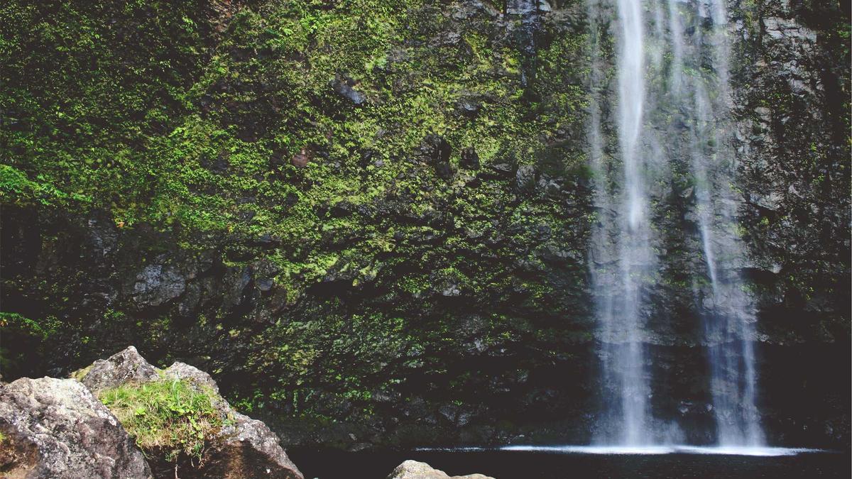 Symbolbild zum Thema Sido Xavier Naidoo