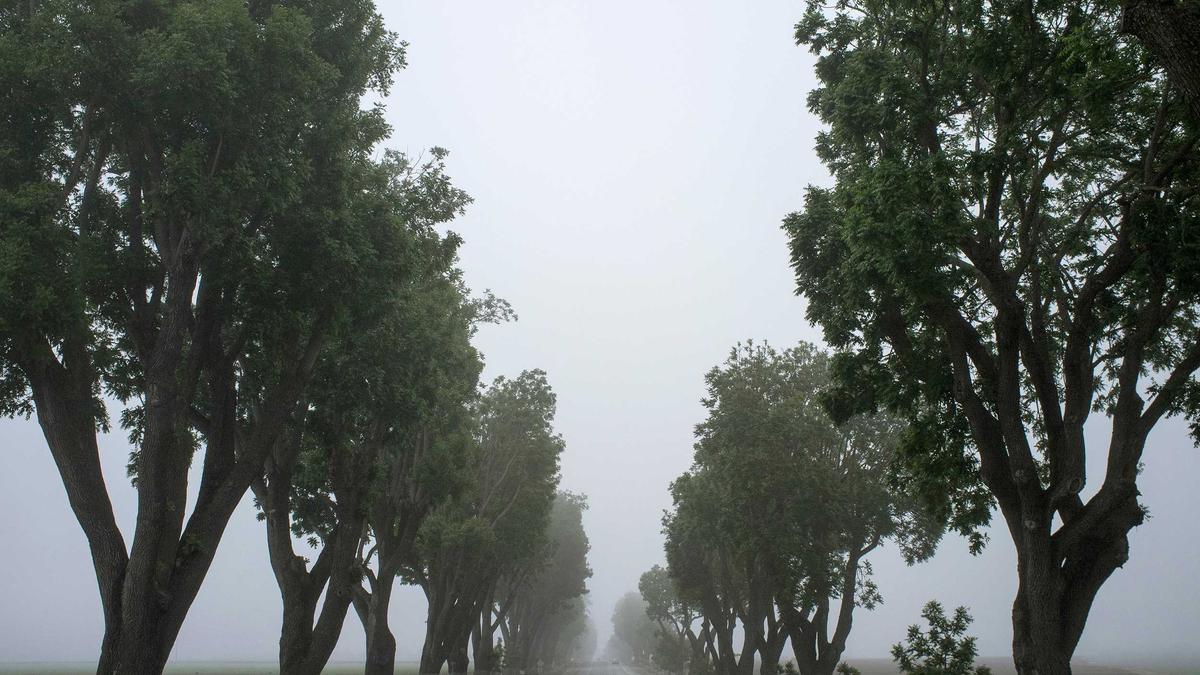 Detailansicht: Sondervermögen Schulden