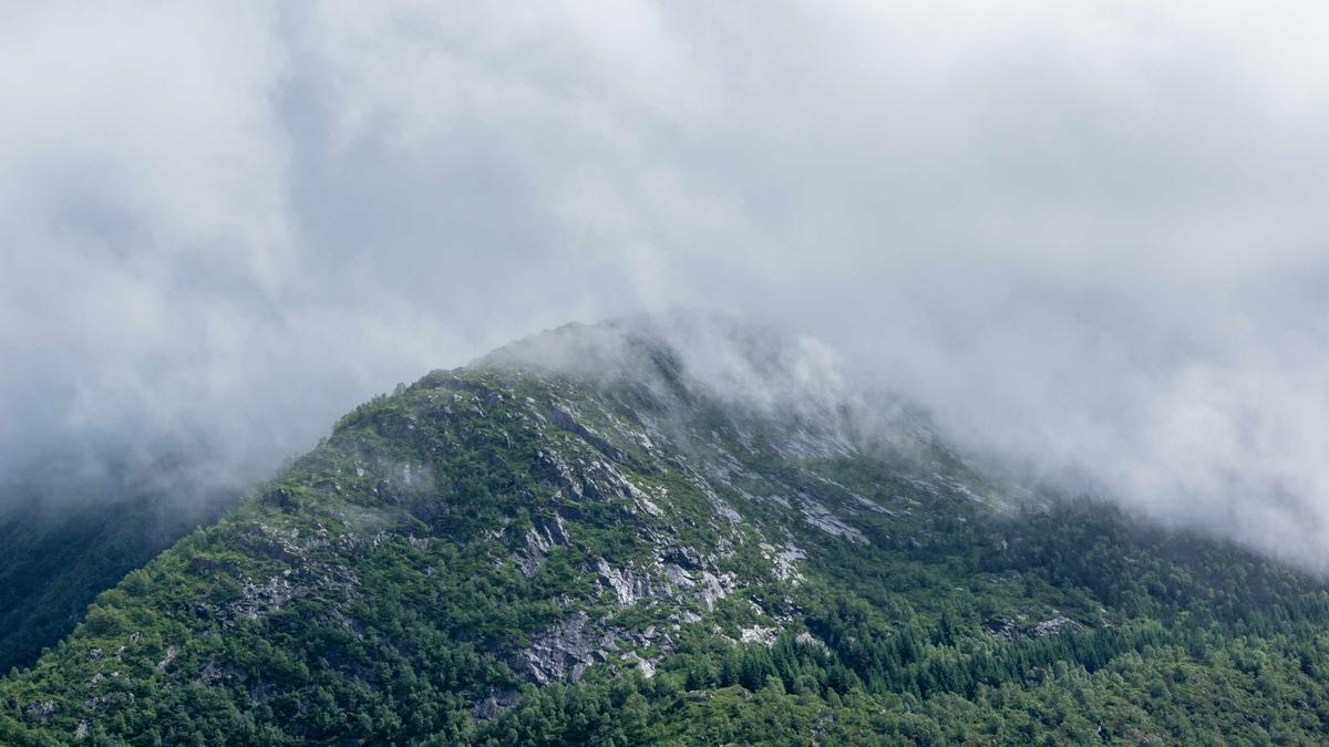 Illustration zu Spö Parteitag Wahlergebnis