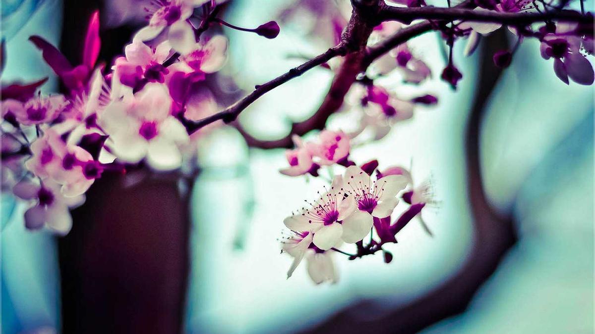 Detailansicht: Stromerzeugung Deutschland