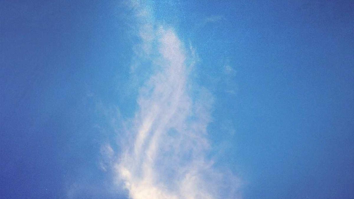 Detailansicht: Subventionsabbau Deutschland