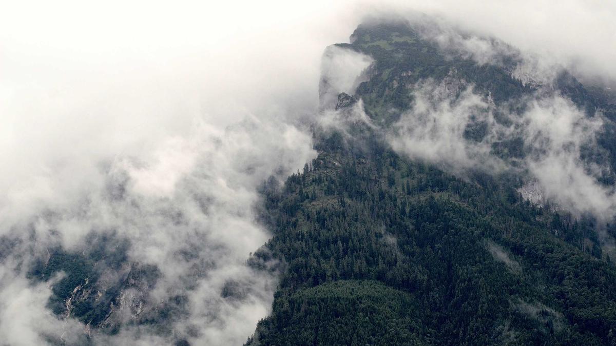 Detailansicht: Suchbild Drachen