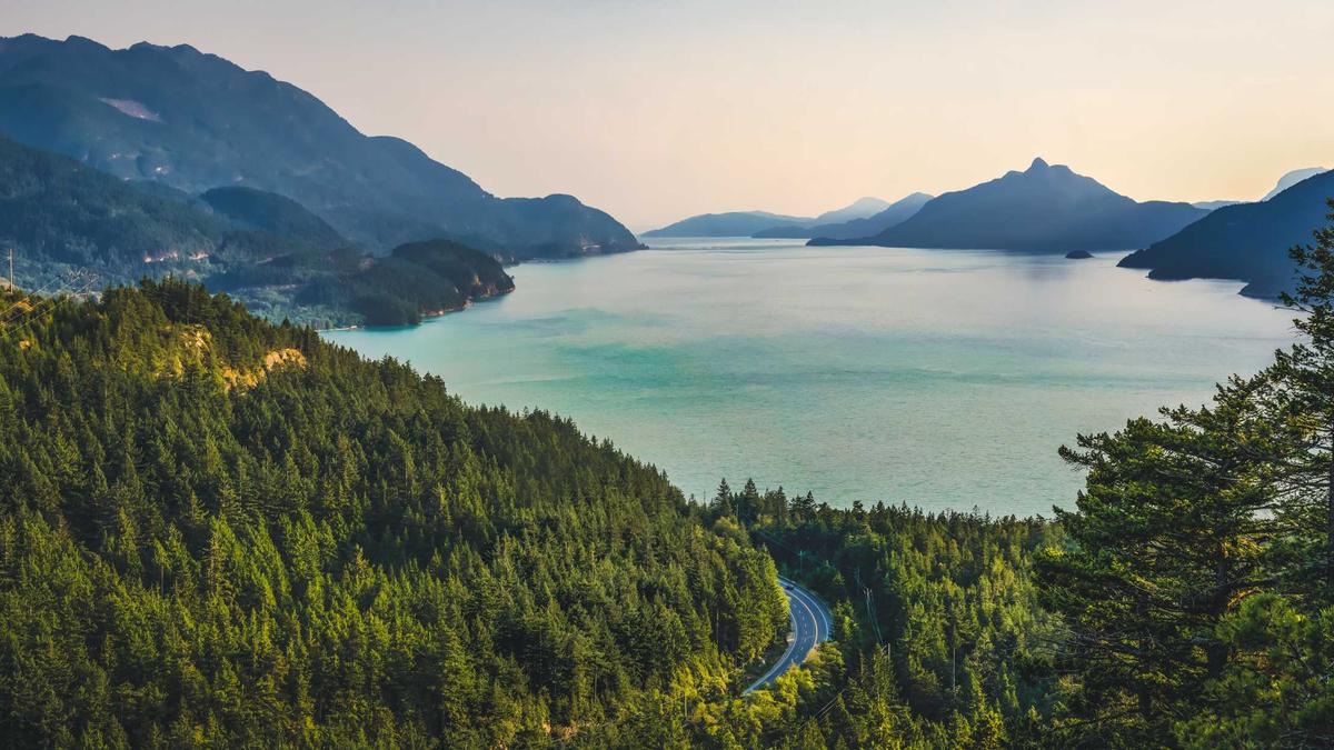 Symbolbild zum Thema Suchbild Katze