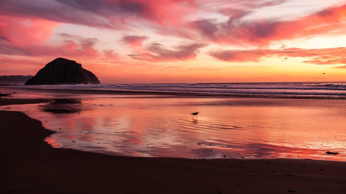 Detailansicht: Tankstellen Abzocke