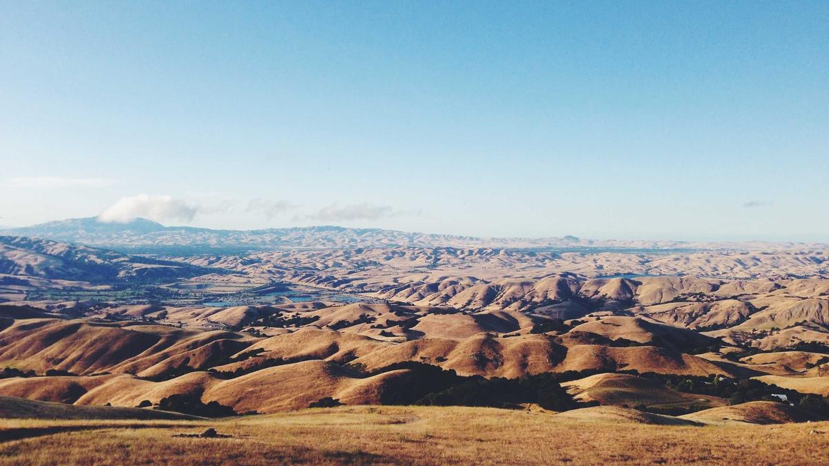 Tarifstreit Lufthansa Illustration zu Tarifstreit Lufthansa