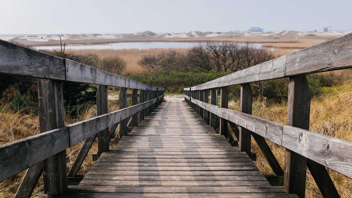 Detailansicht: Tasmanien Possum Laden