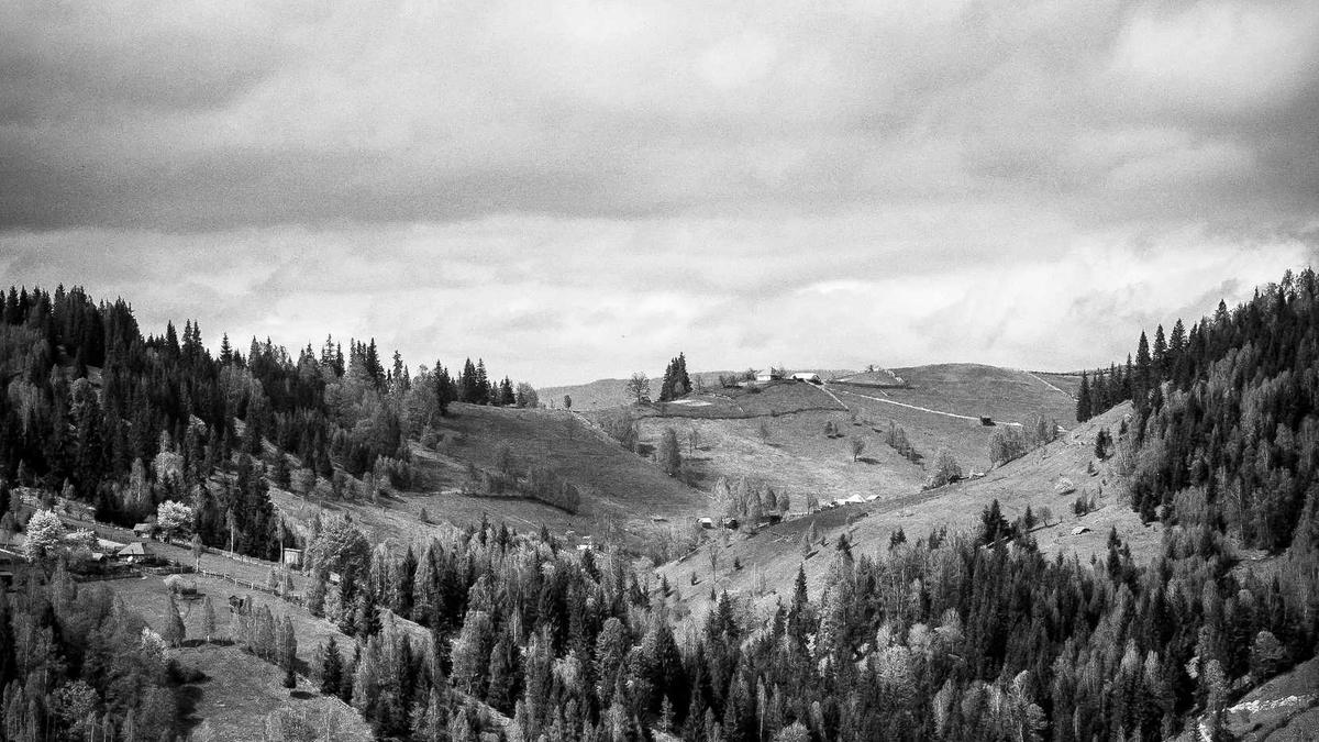 Illustration zu The Witcher