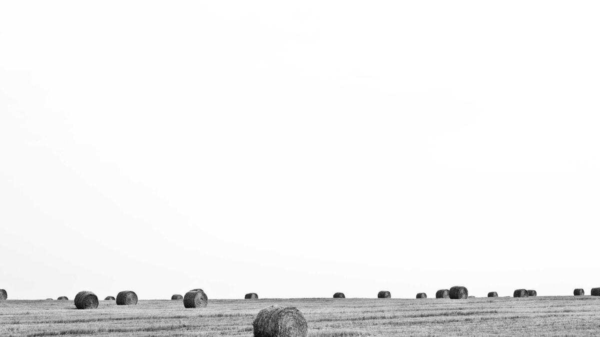 Illustration zu Titan Ae Flop