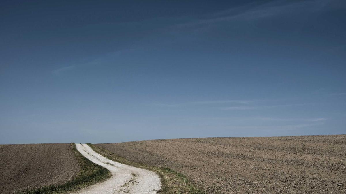 Illustration zu Tötungsdelikt Raunheim