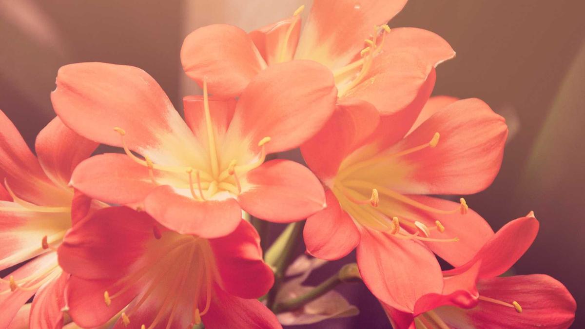 Symbolbild zum Thema Verkehrszeichen Haifischzähne