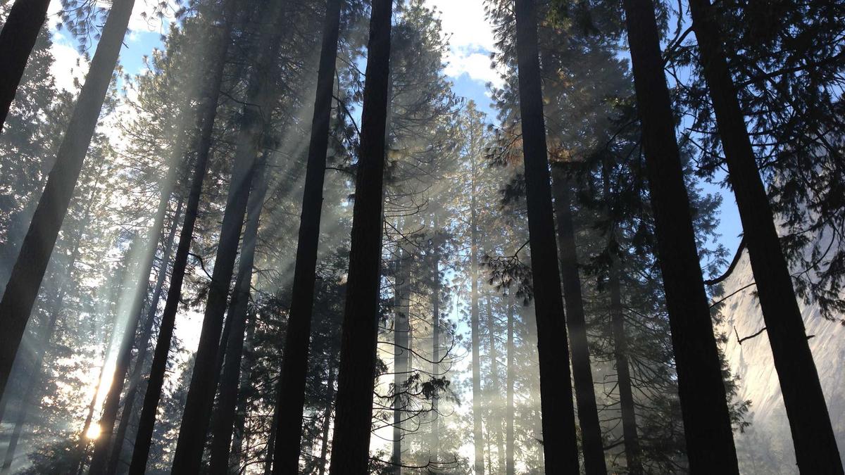 Detailansicht: Verstappen Crash