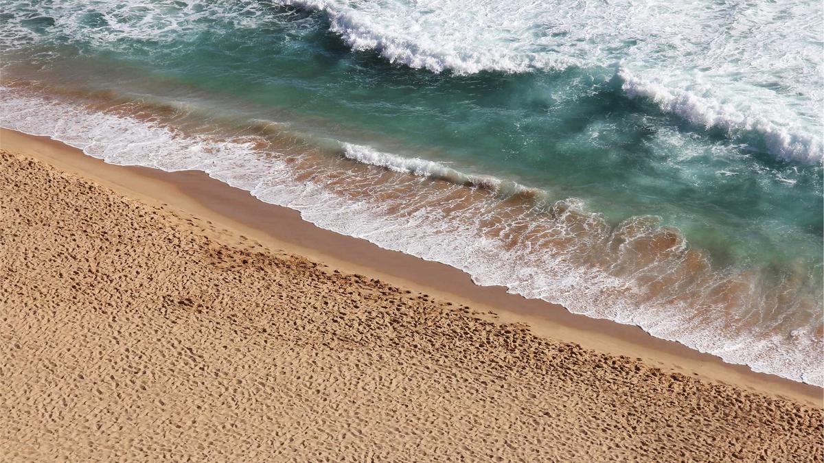 Detailansicht: Wal Rettung Timmendorfer Strand