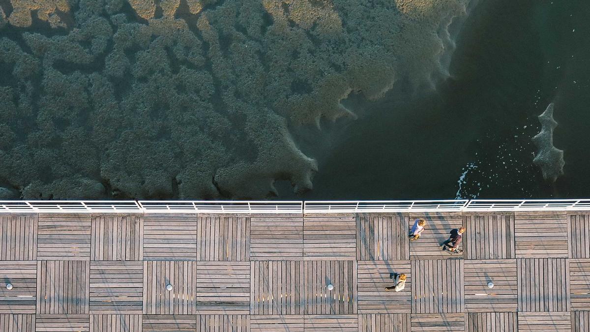 Wal Timmendorfer Strand Detailansicht: Wal Timmendorfer Strand