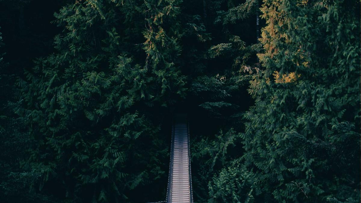 Illustration zu Woolworth