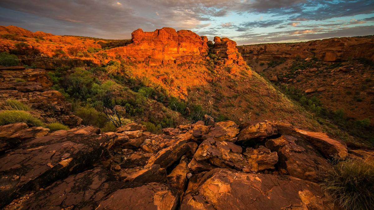 Illustration zu Wwe Smackdown