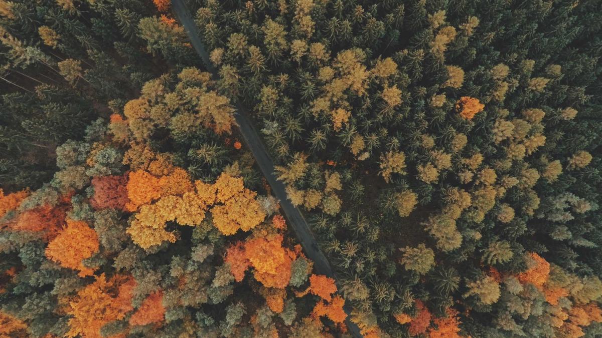 Illustration zu Zhegrova