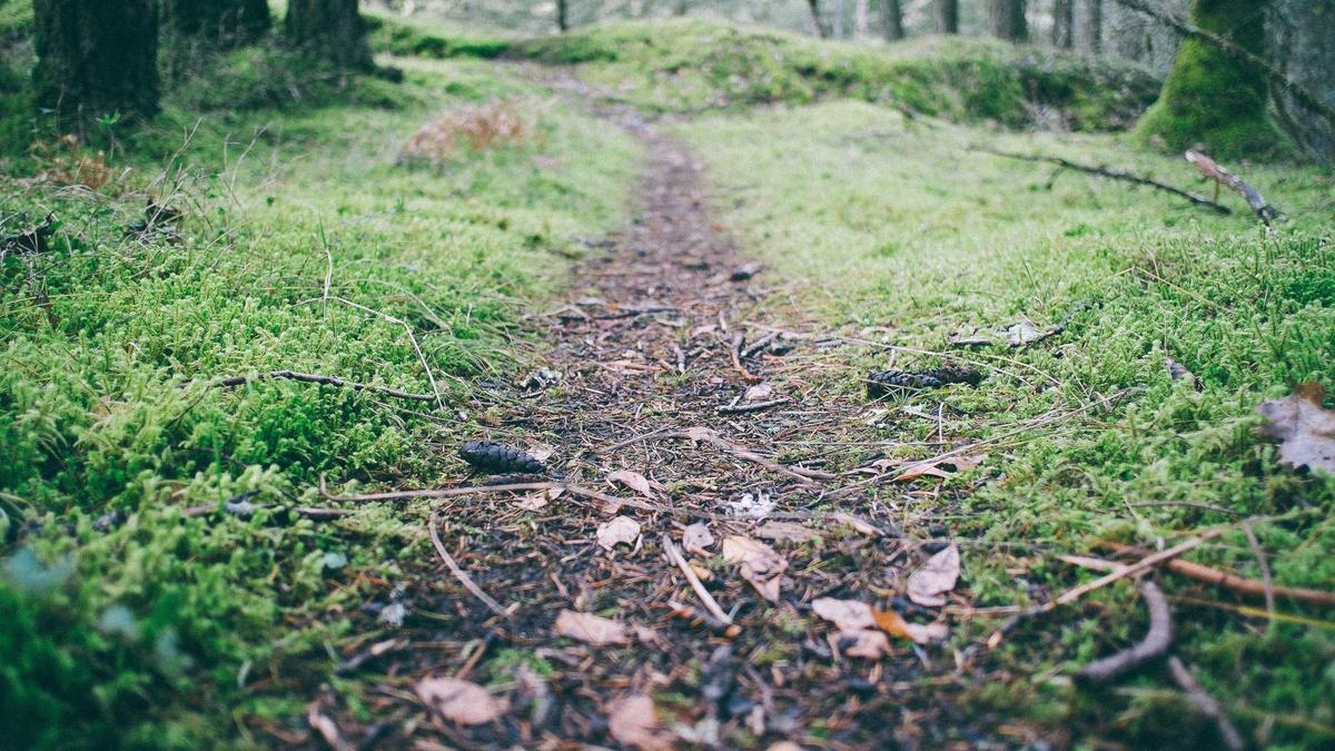 Detailansicht: Zollrückerstattung Klage